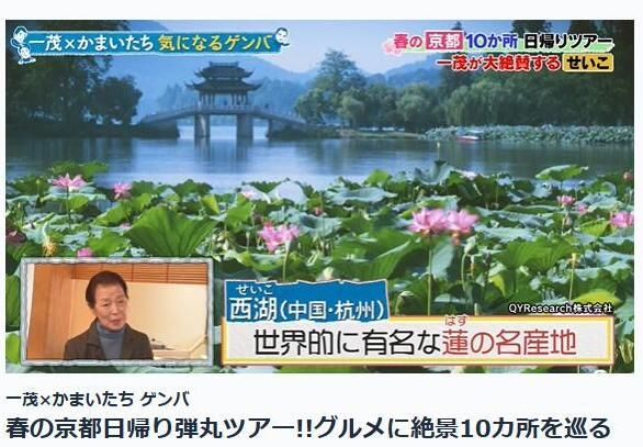 2025年4月9日、日本テレビ「一茂×かまいたち　ゲンバ」がQYResearchの蓮根市場に関する調査結果を引用しました。